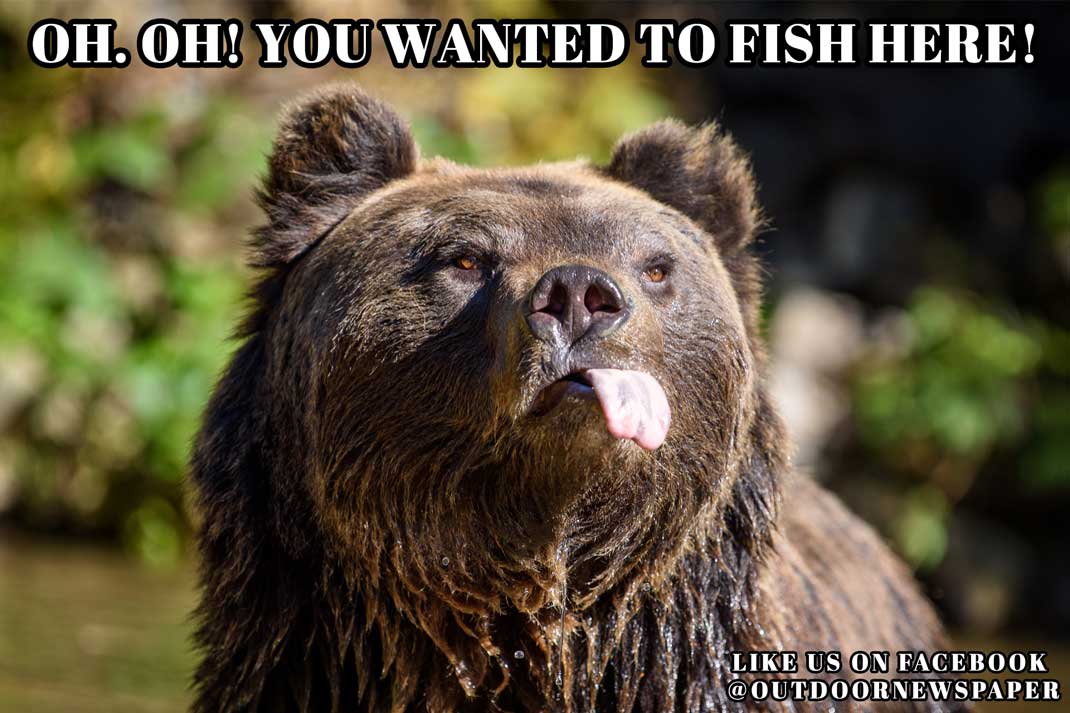 Fishing Meme Oh Oh You wanted to fish here Bear Meme | Outdoor Newspaper