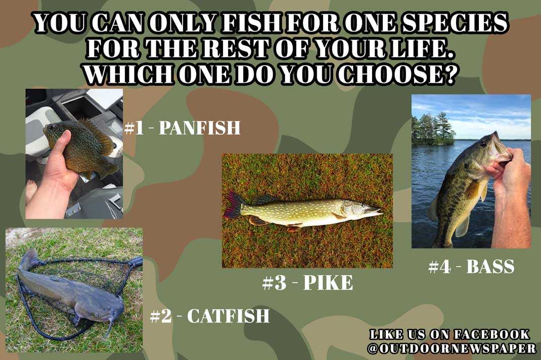 Fishing Meme: You can only fish for one species for the rest of your life. Which one do you choose? | Outdoor Newspaper