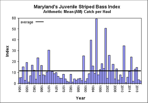 Chesapeake Bay Young-of-Year Survey Results