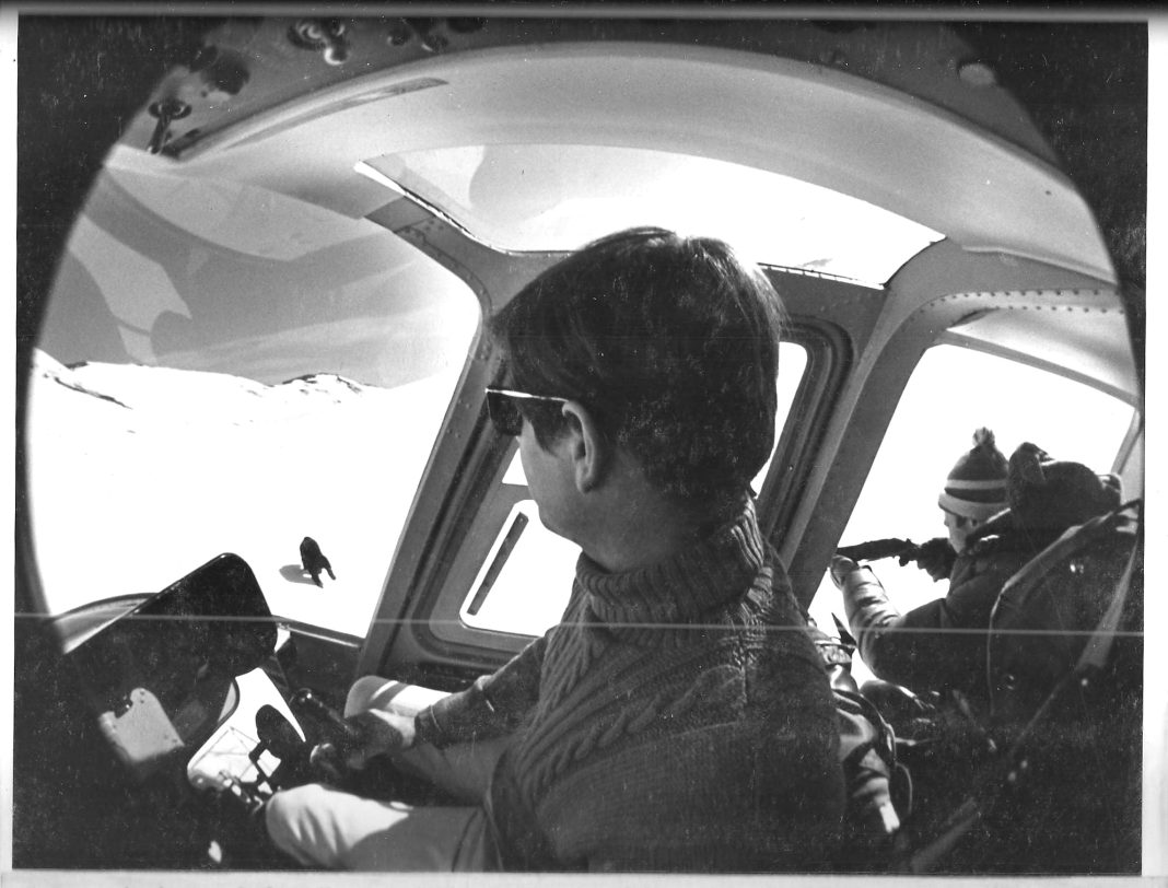 darting brown bear.jpg