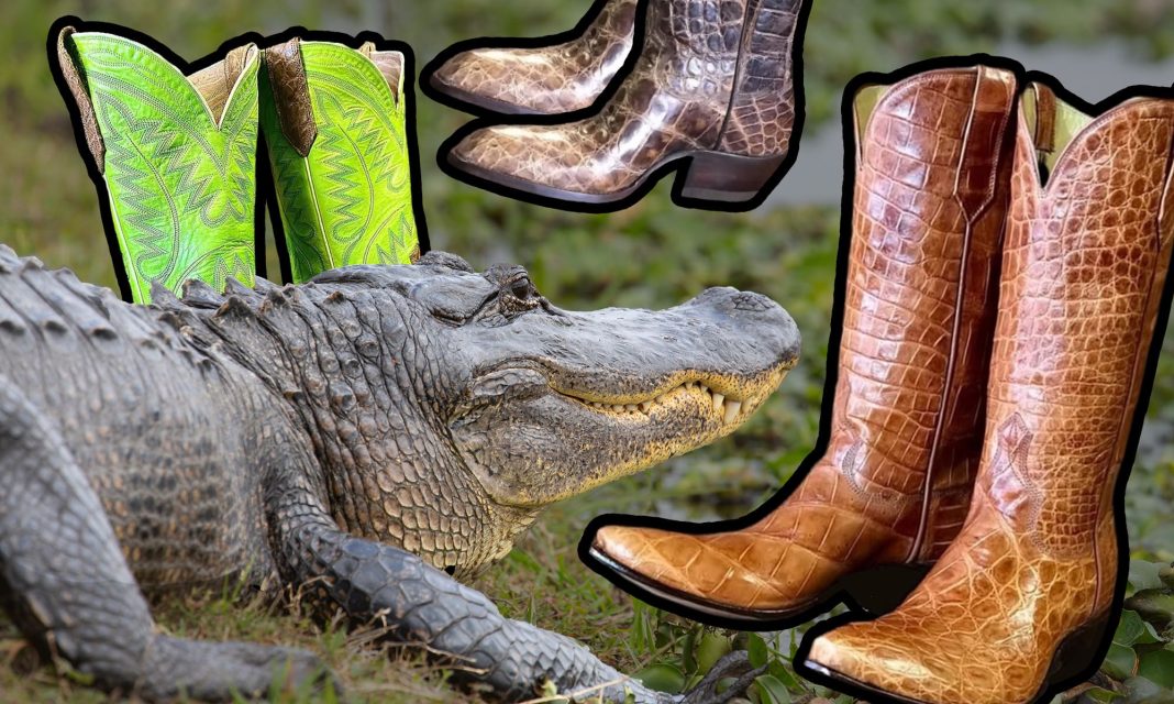 gator boots.jpg