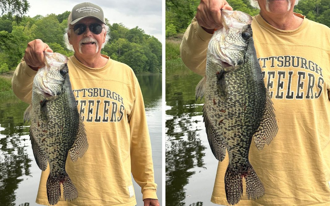virginia crappie technically a world record 1.jpg